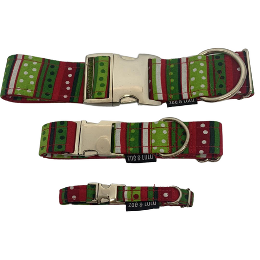 Collier pour Chien Rigaudon