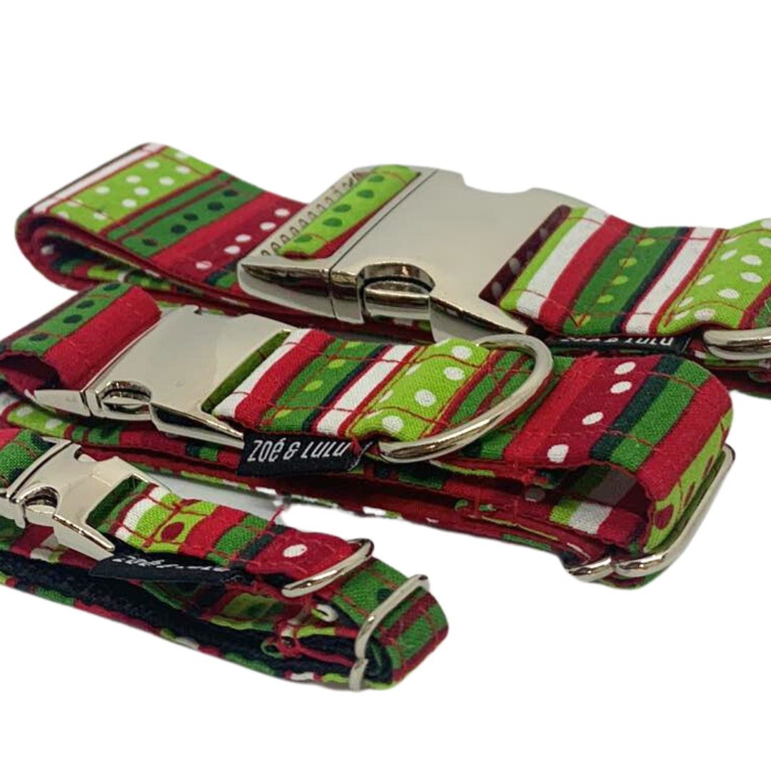 Collier pour Chien Rigaudon