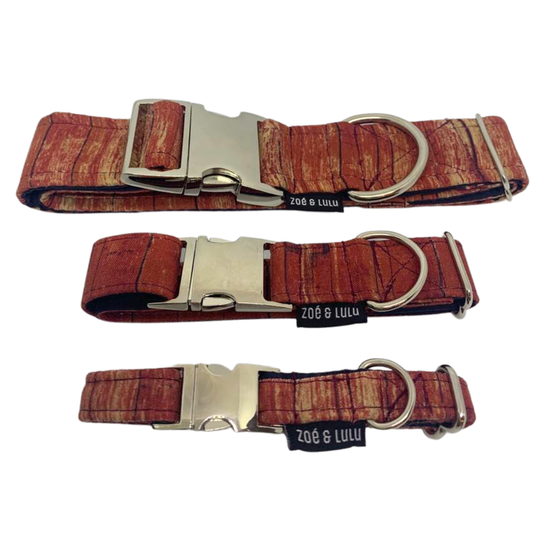 Collier pour Chien St-Tite