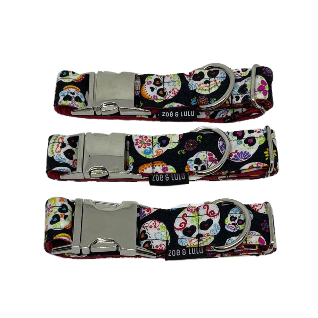 Collier pour Chien St. Helens