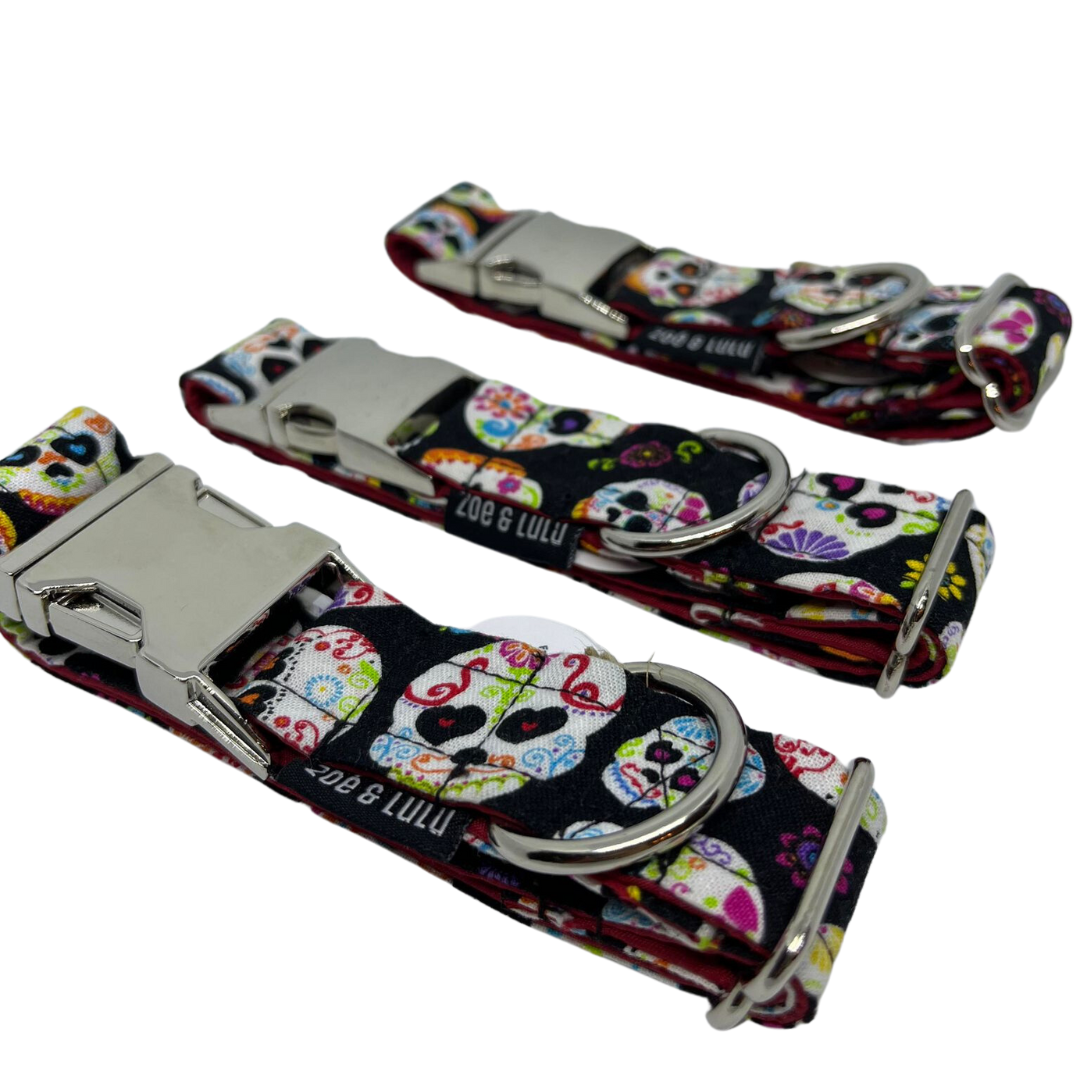 Collier pour Chien St. Helens