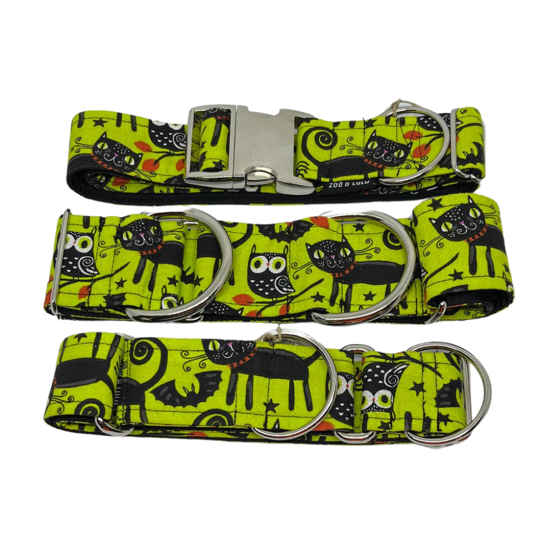 Collier pour Chien Telluride