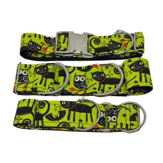 Collier pour Chien Telluride