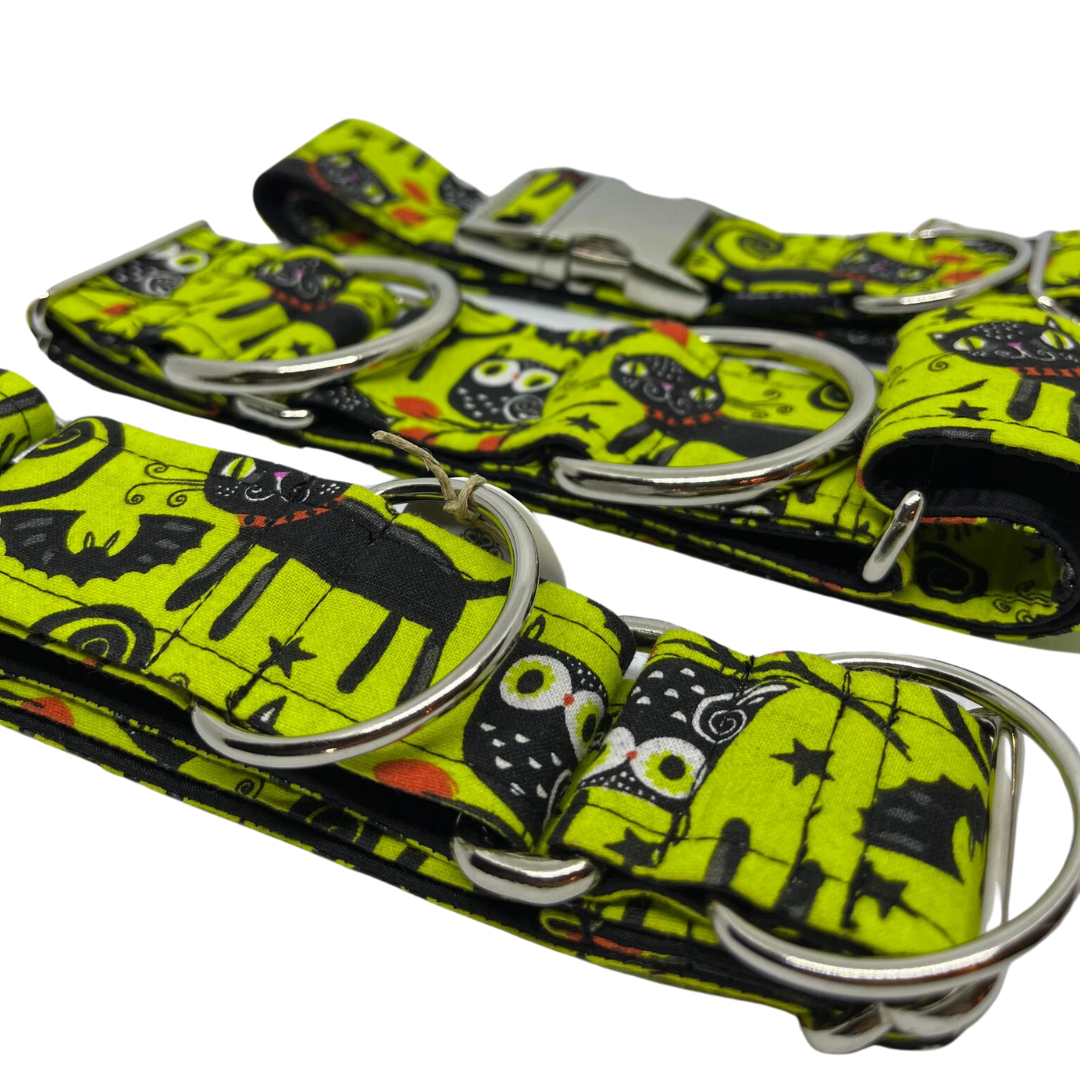 Collier pour Chien Telluride