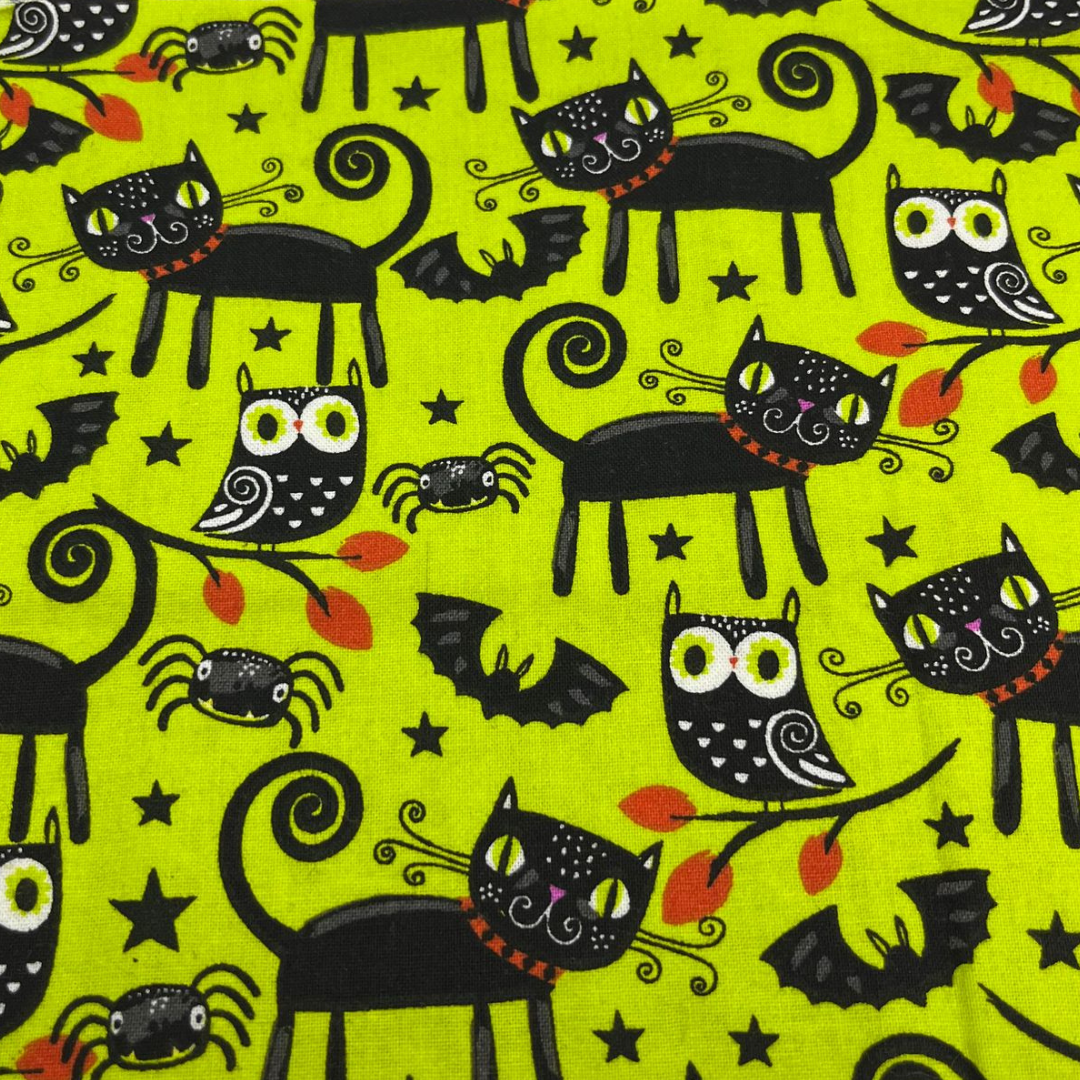 Collier pour Chien Telluride