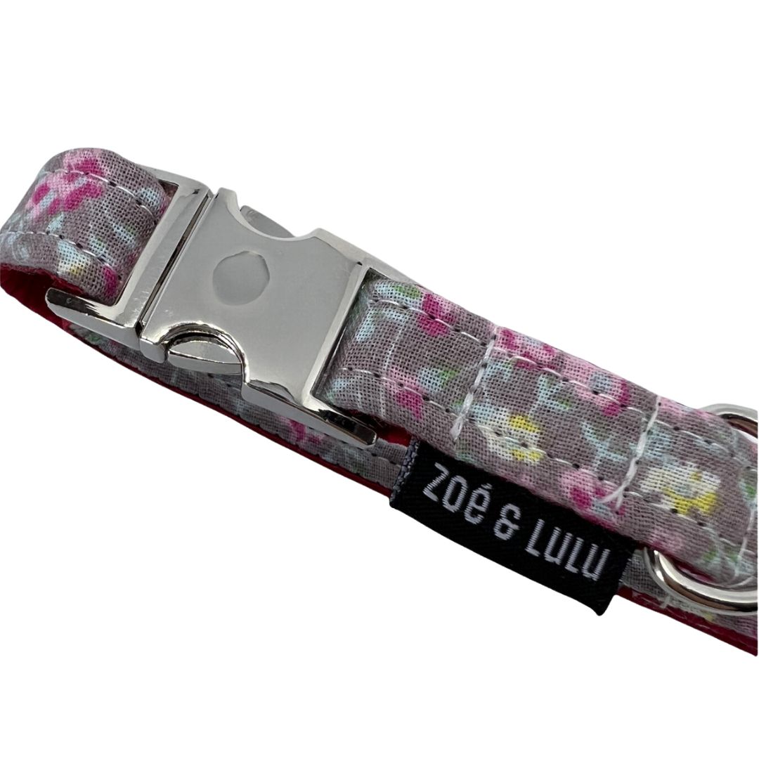 Collier pour Chien Tokyo