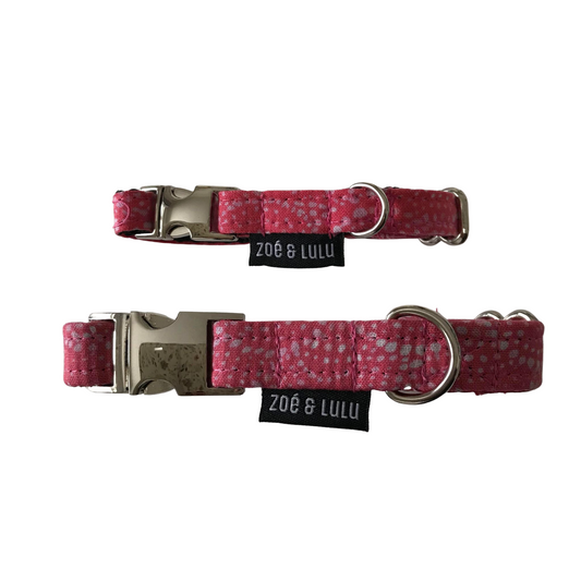 Collier pour Chien Los Angeles