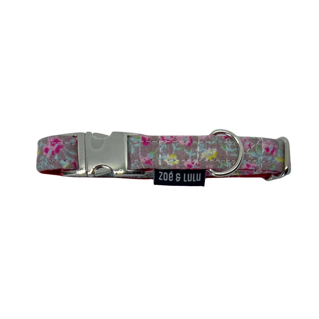 Collier pour Chien Tokyo