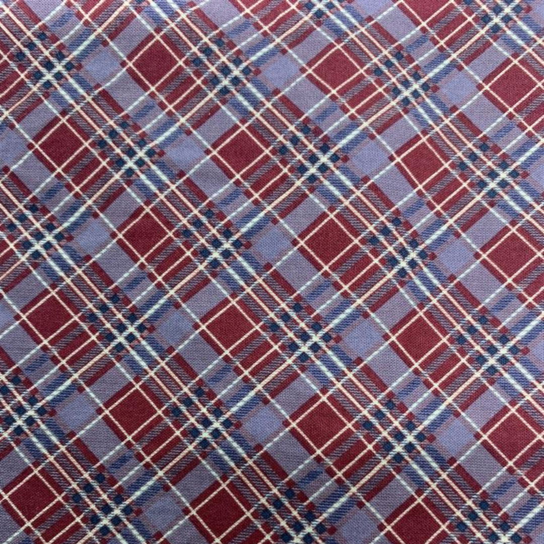 Collier pour Chien Victoria