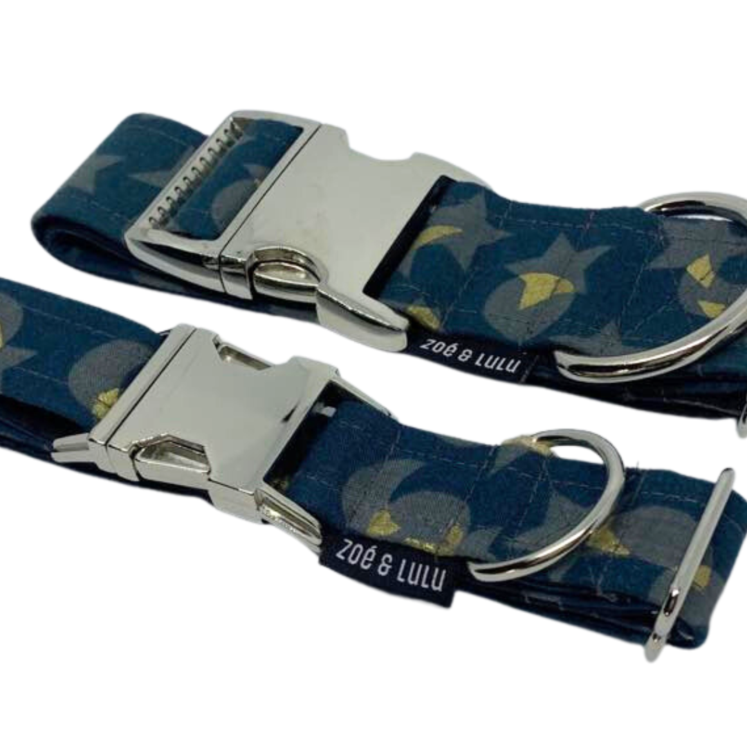 Collier pour Chien Whitehorse