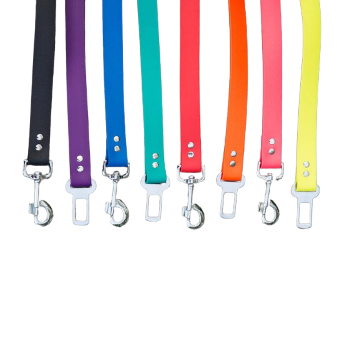Ceinture de Sécurité pour Animaux