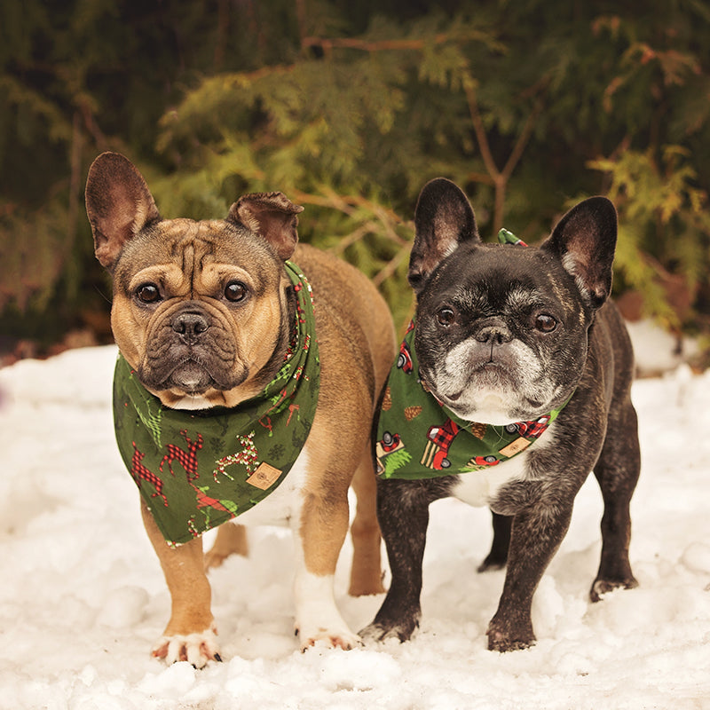 Holiday Truck Reversible Bandana