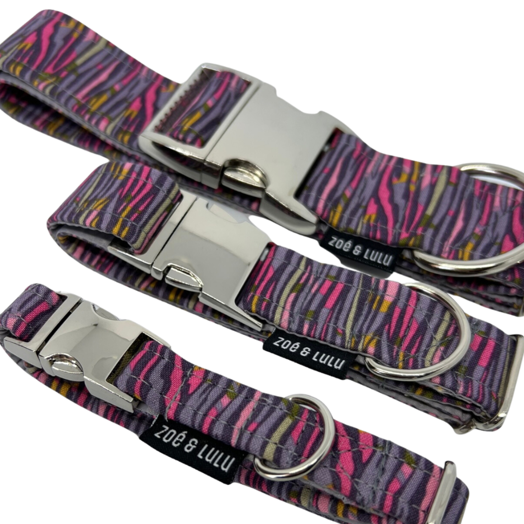 Collier pour Chien Zagreb