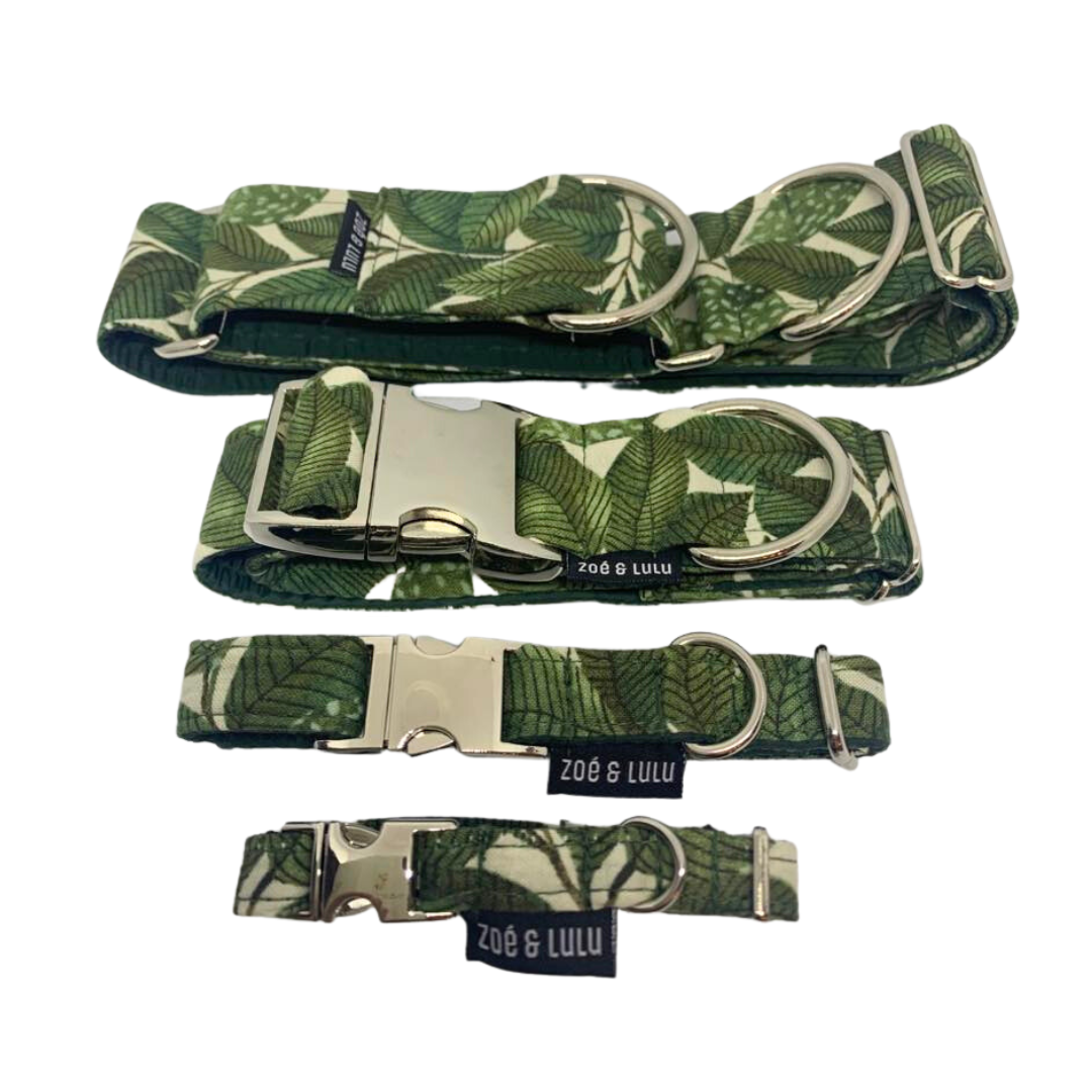 Collier pour Chien Zurich