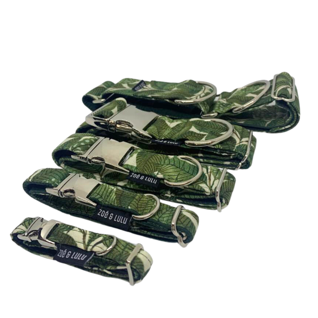 Collier pour Chien Zurich