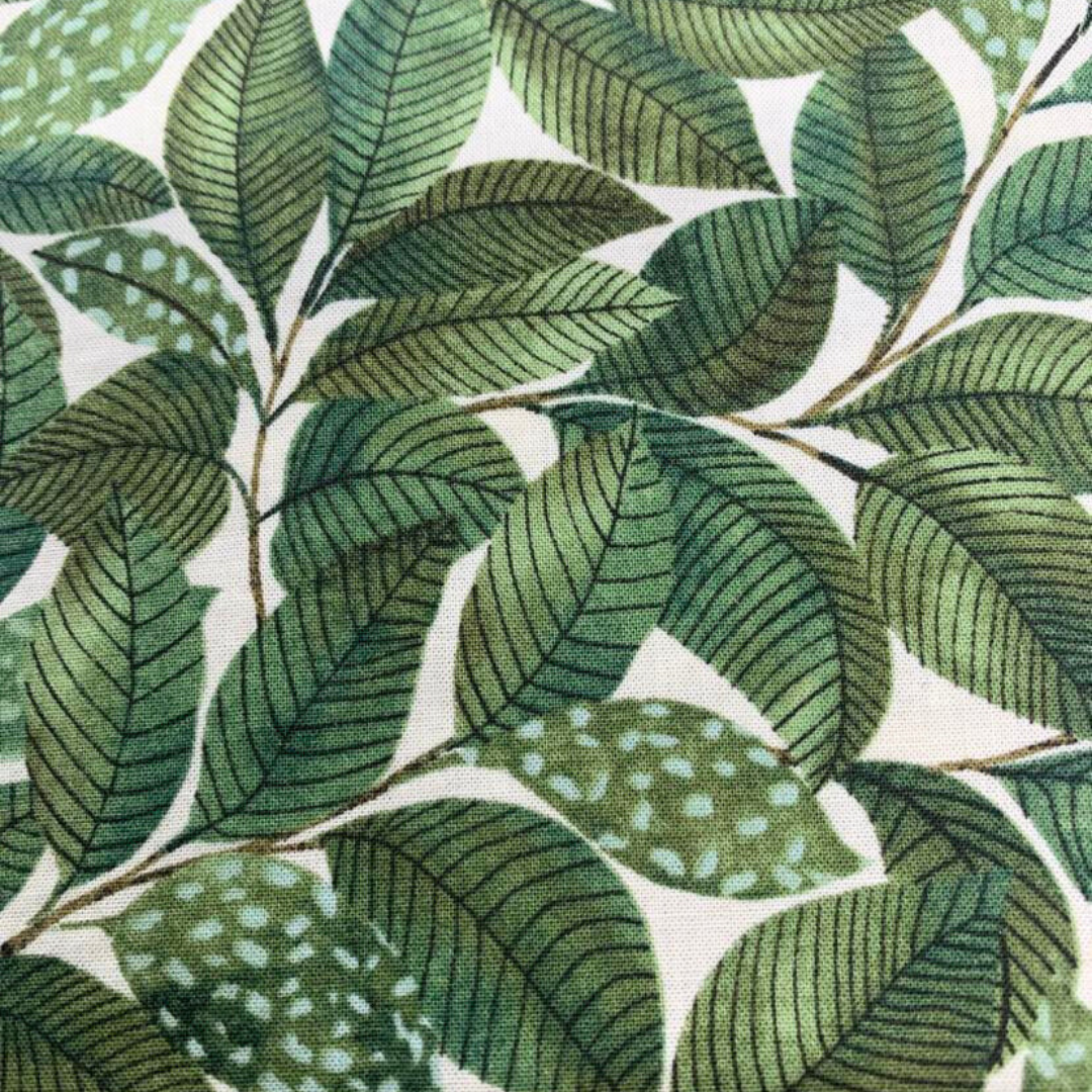 Collier pour Chien Zurich