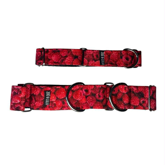 Collier pour Chien Framboises