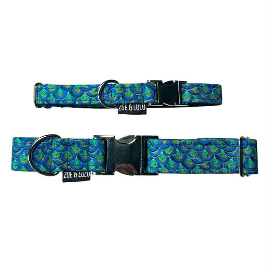 Collier pour Chien Paon