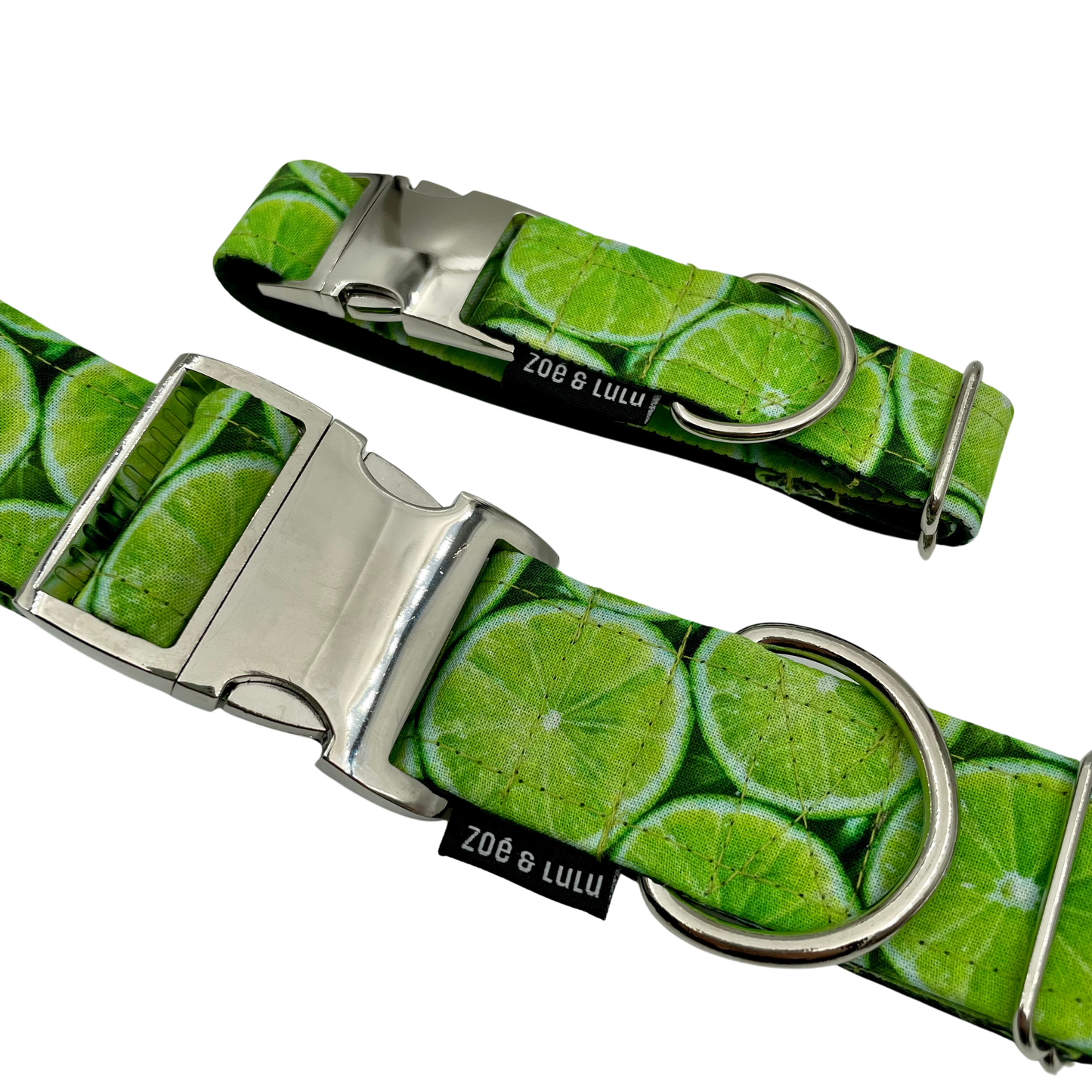 Collier pour Chien Limes