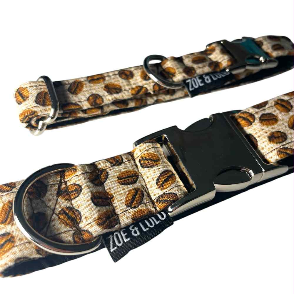 Collier pour Chien Café