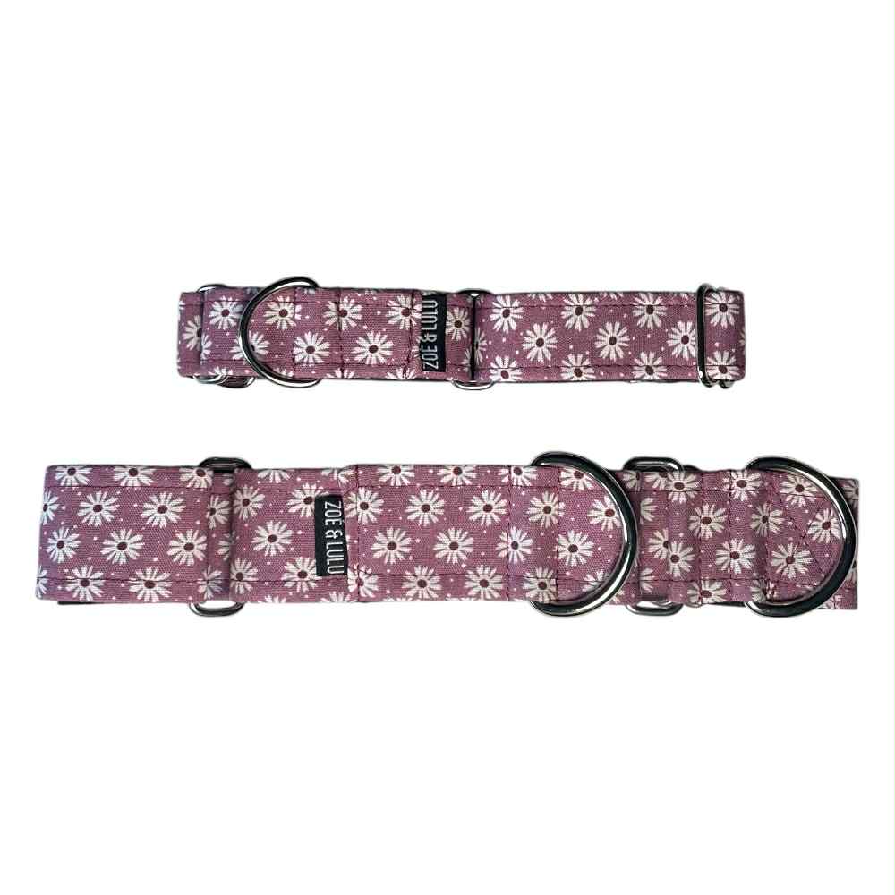 Collier pour Chien Marguerites