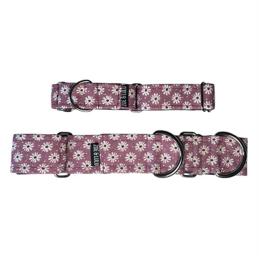 Collier pour Chien Marguerites