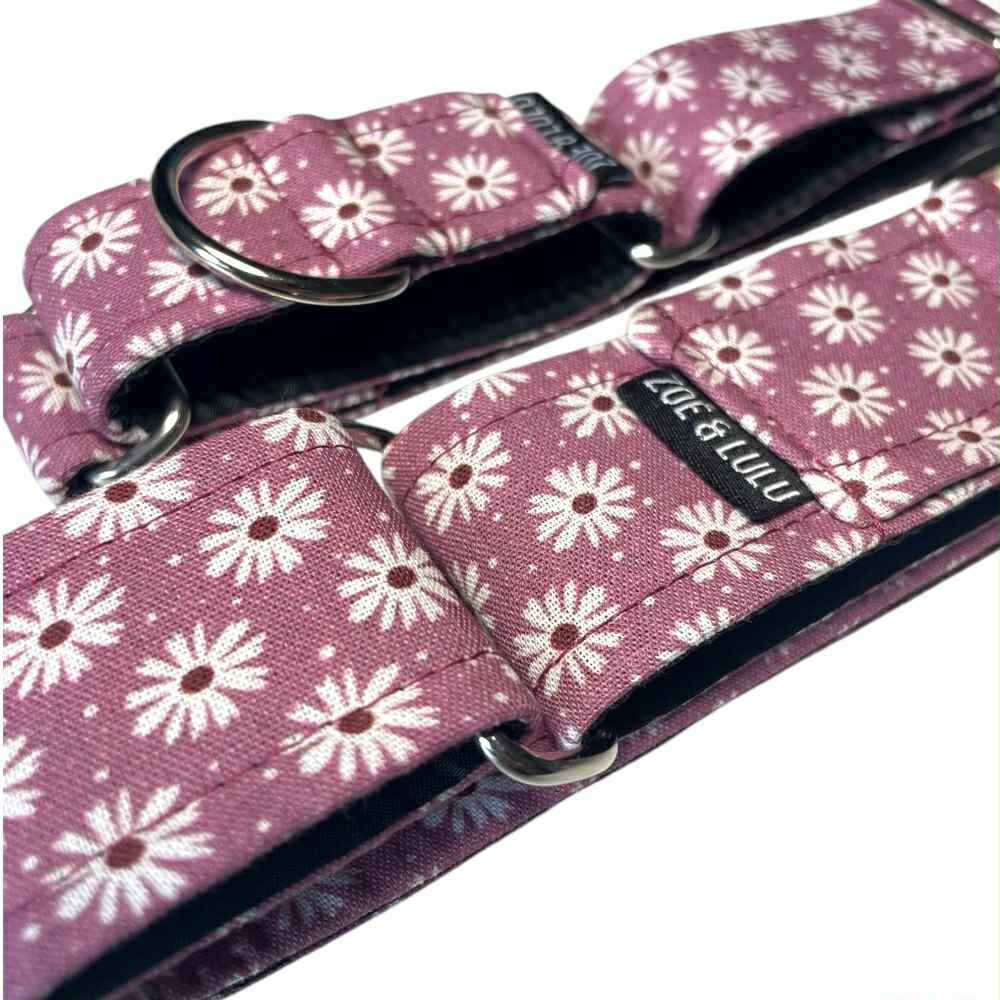 Collier pour Chien Marguerites