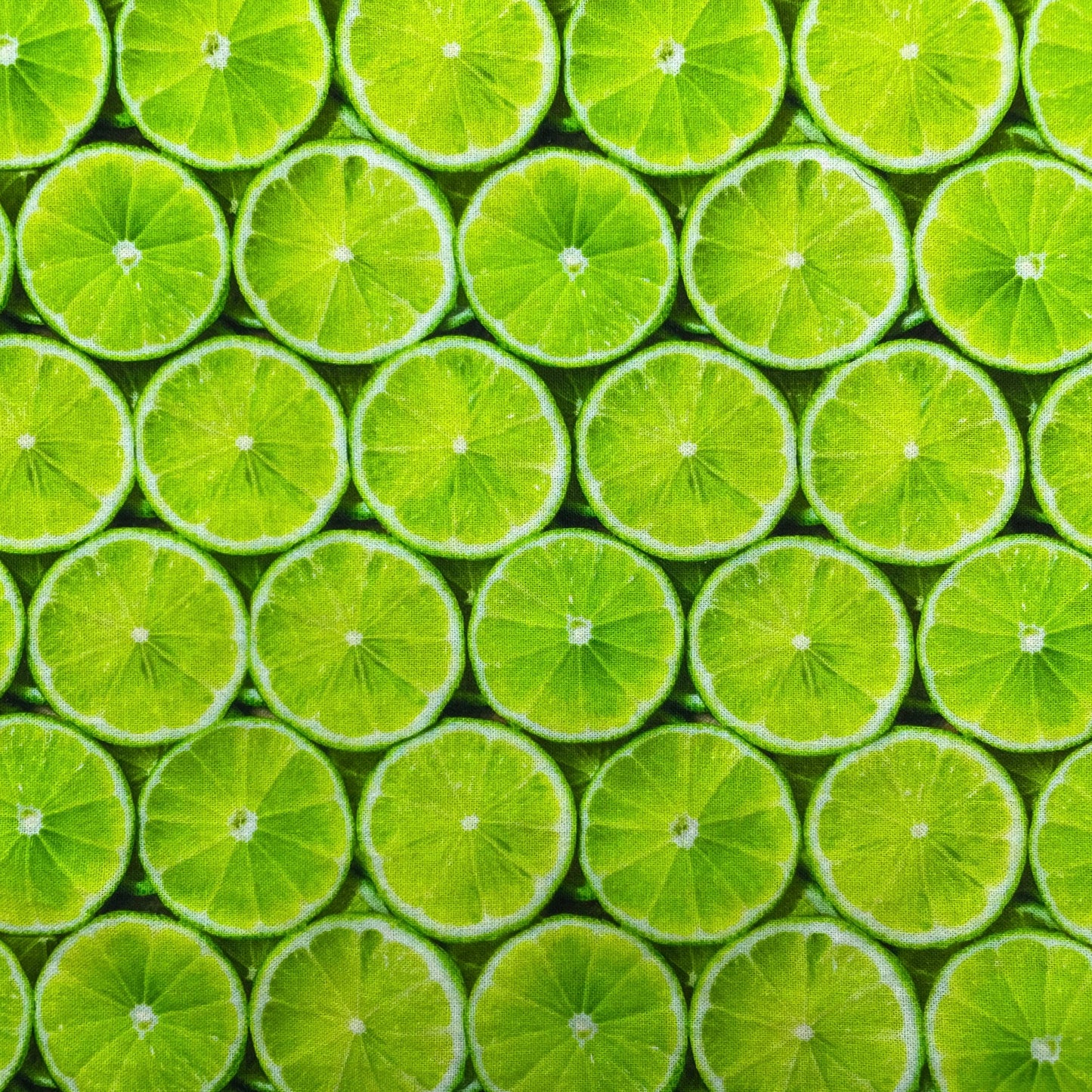 Collier pour Chien Limes