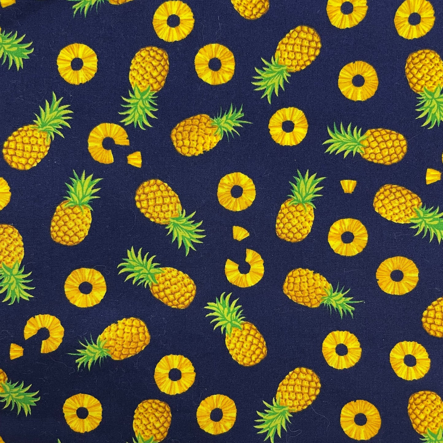 Collier pour Chien Ananas