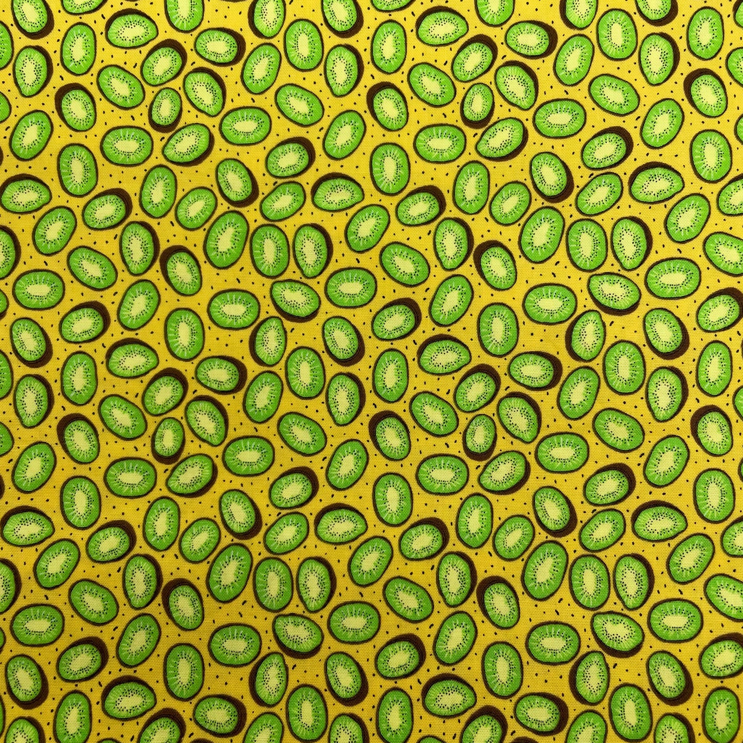 Collier pour Chien Kiwis