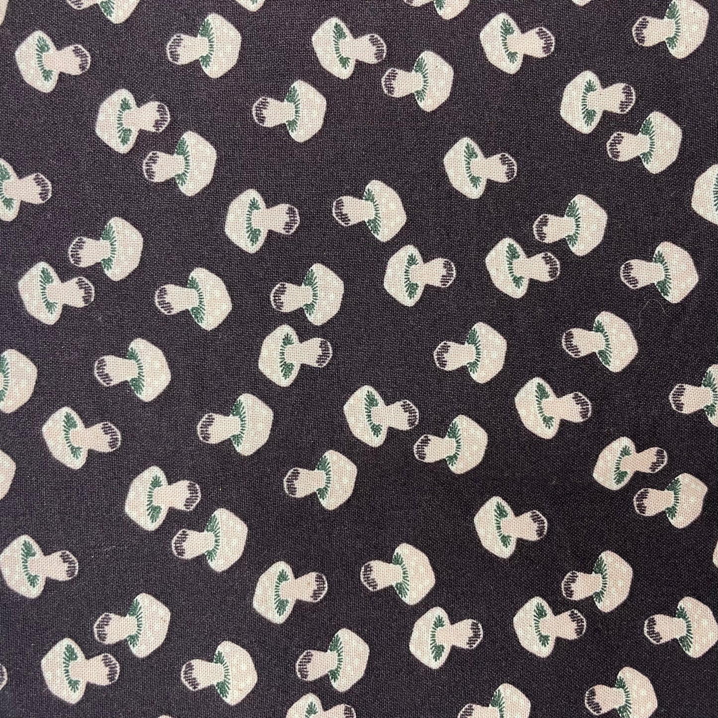 Collier pour Chien Champignons