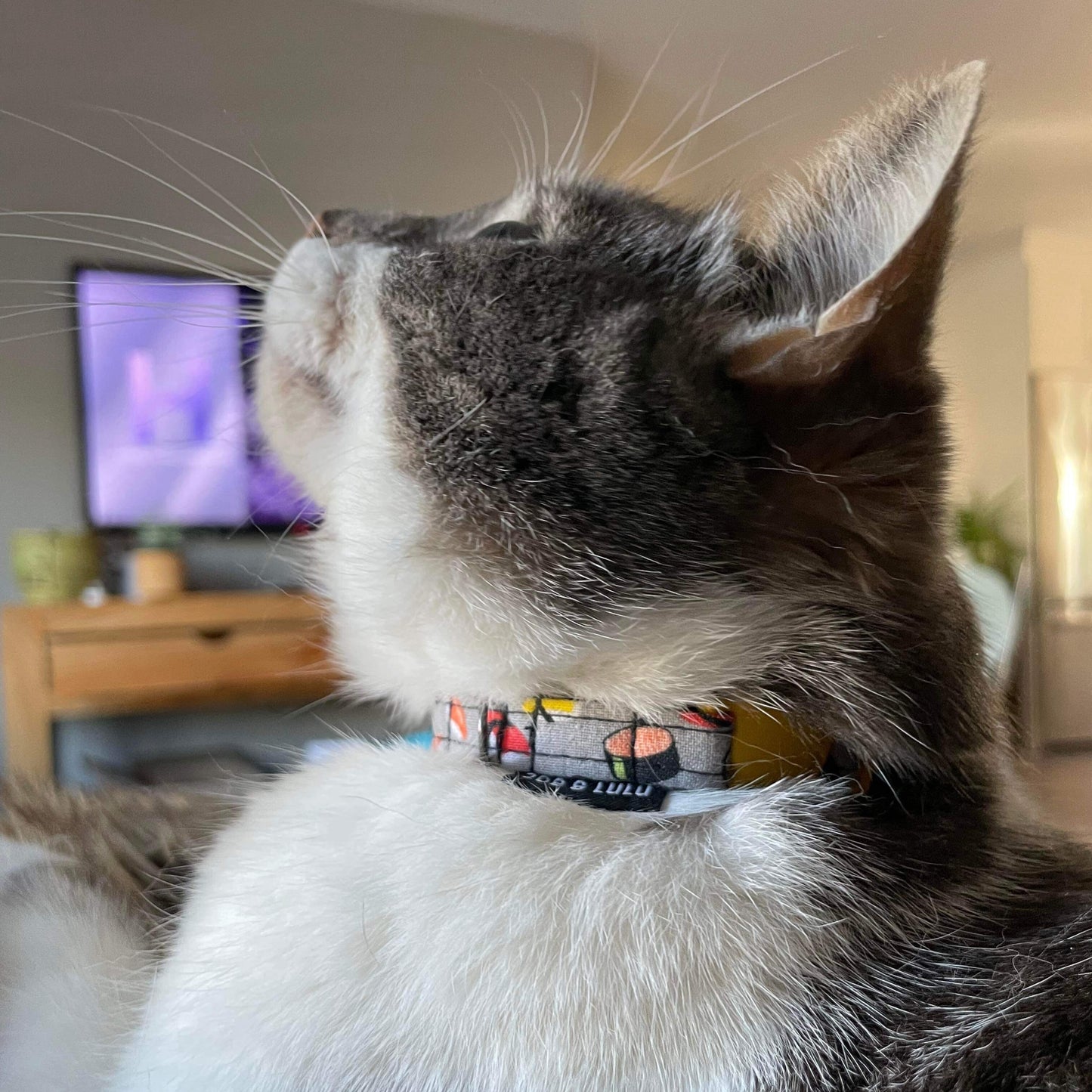 Sushi Cat Collar