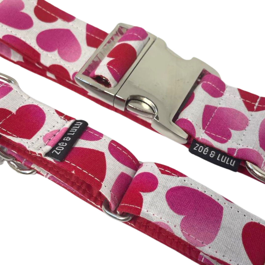 Amore Dog Collar