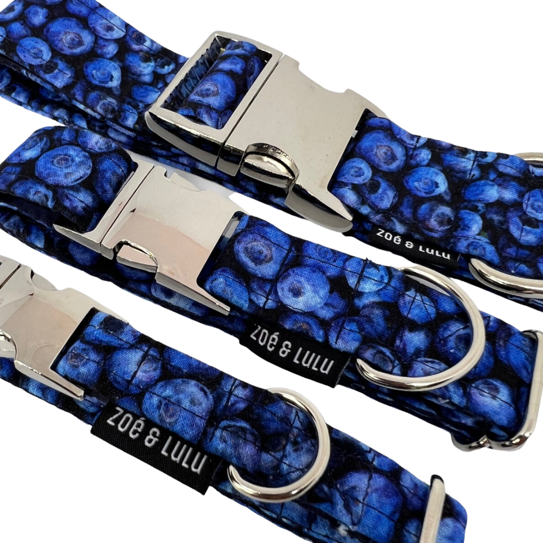 Blueberry Dog Collar Zoe Lulu Pet Boutique