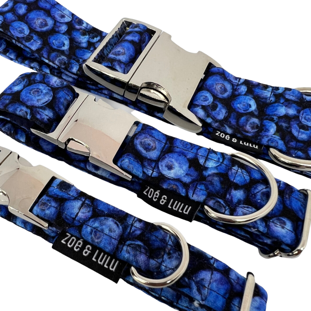 Blueberry Dog Collar