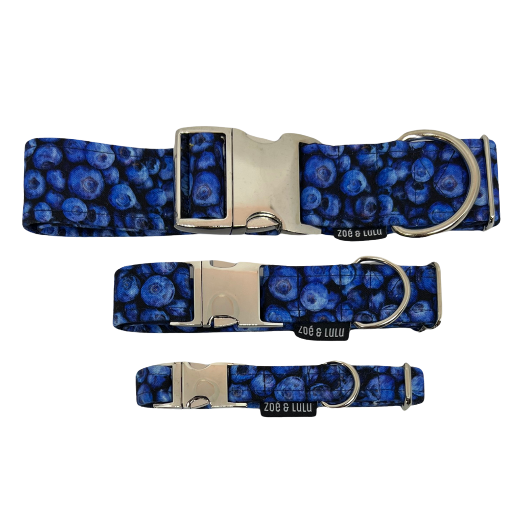 Blueberry Dog Collar