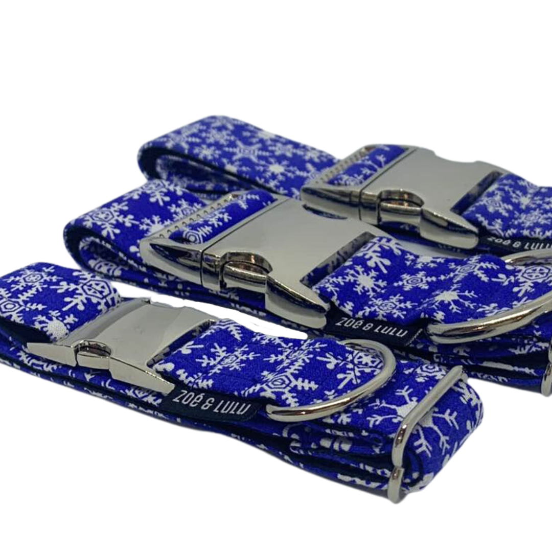 Collier pour Chien Blue Christmas