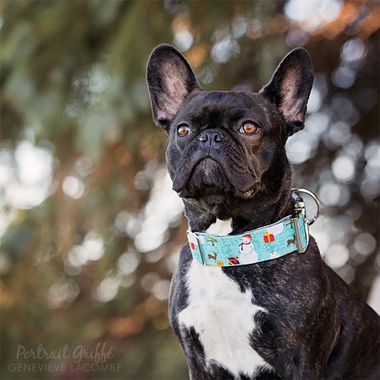 Snowman Dog Collar