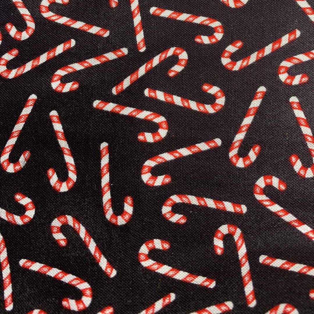 Collier pour Chien Cannes