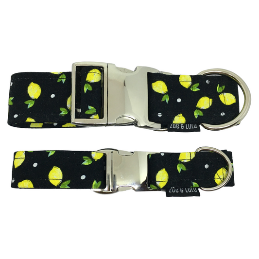 Collier pour Chien Citrons