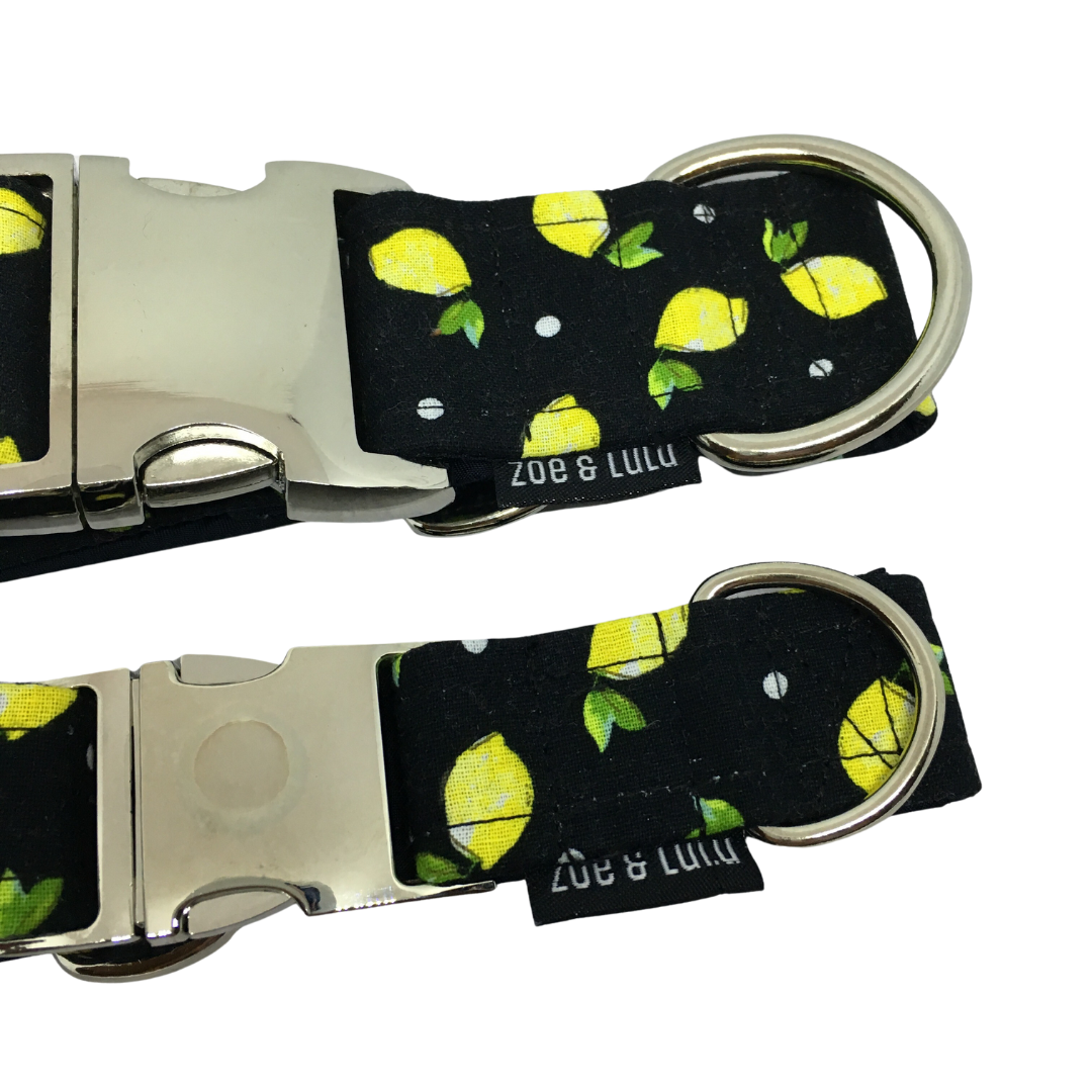 Lemon Dog Collar