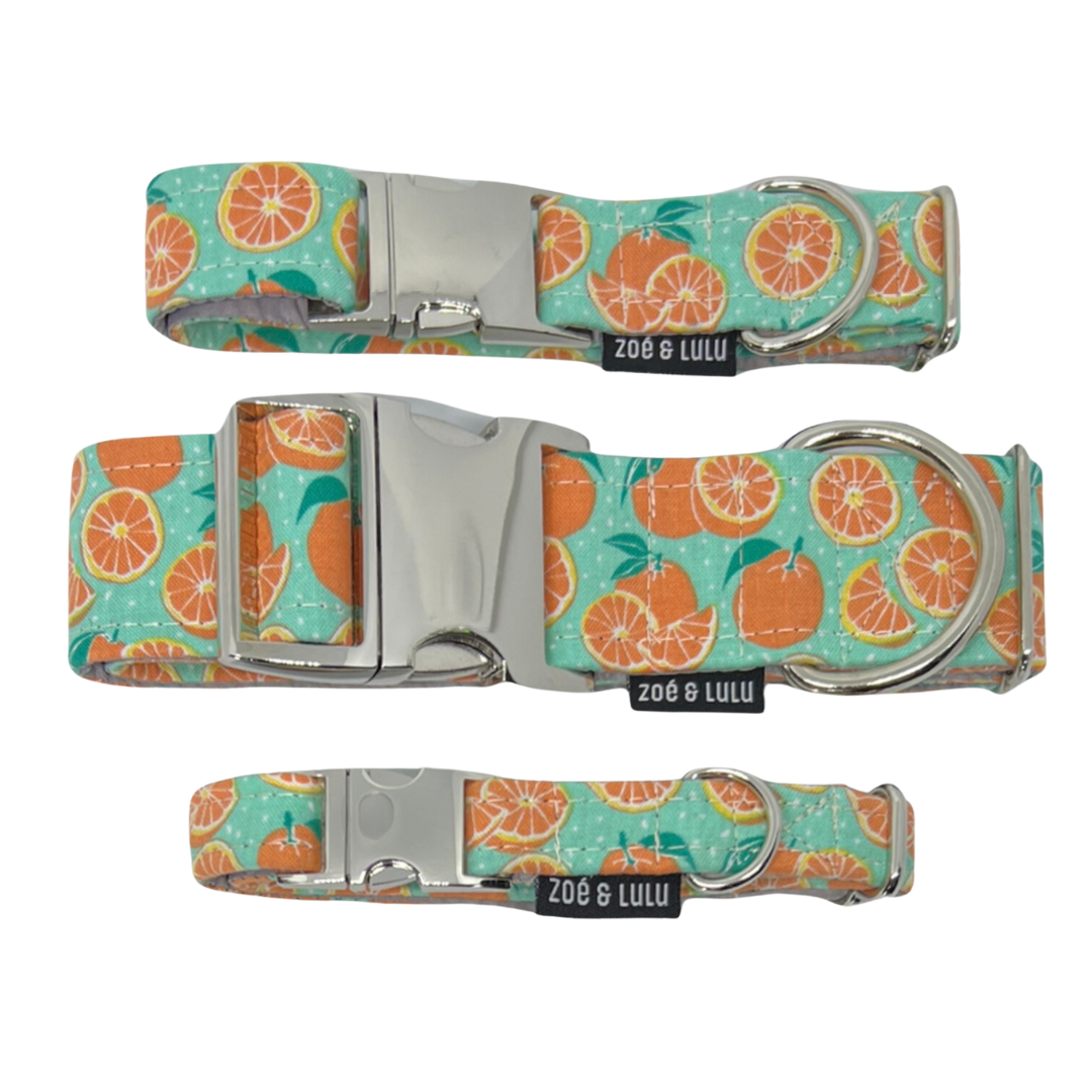 Clementine Dog Collar