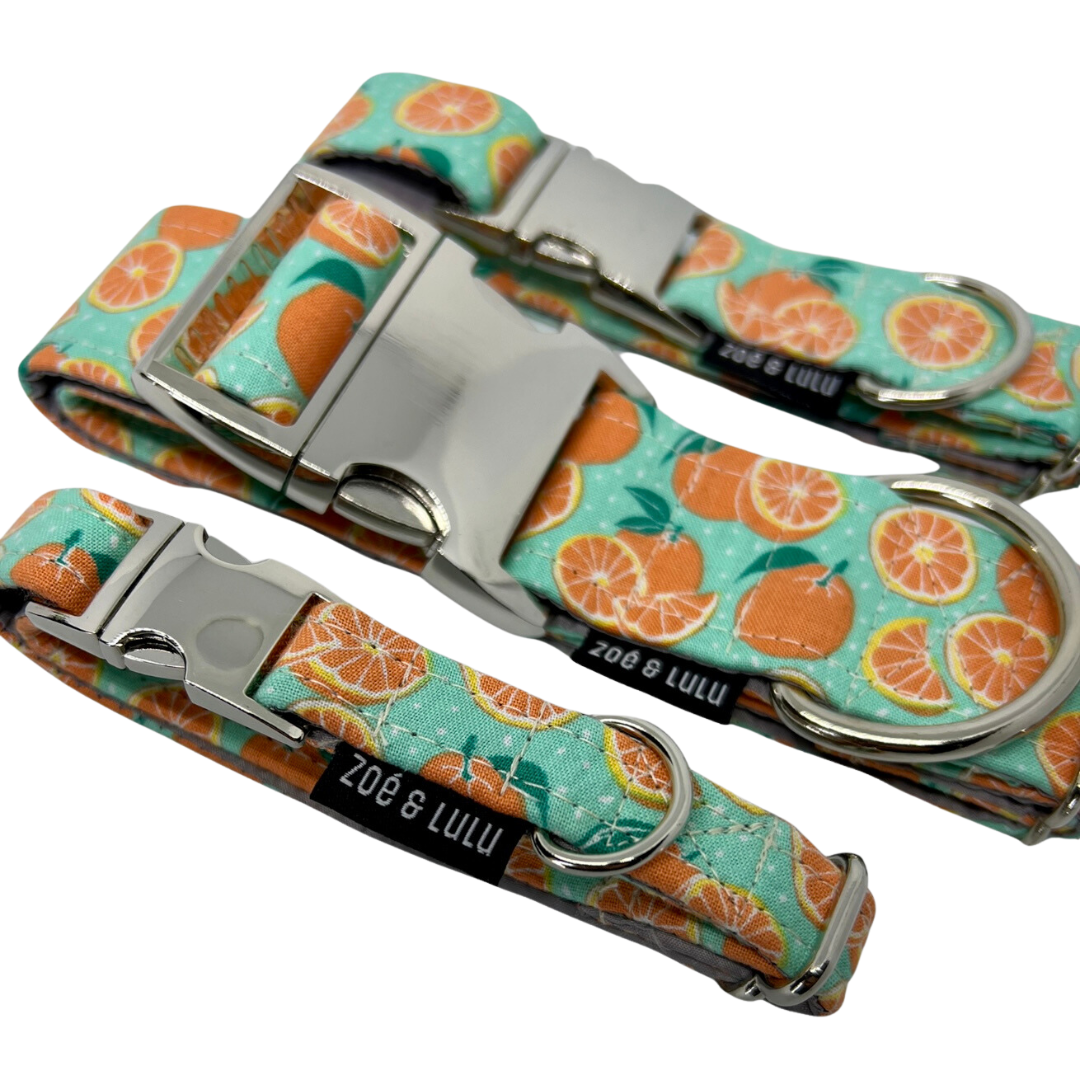 Clementine Dog Collar