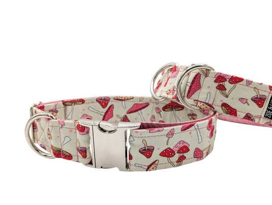 Collier chien champignon clips de metal femelle/Mushroom dog collar with metal clips for female dogs