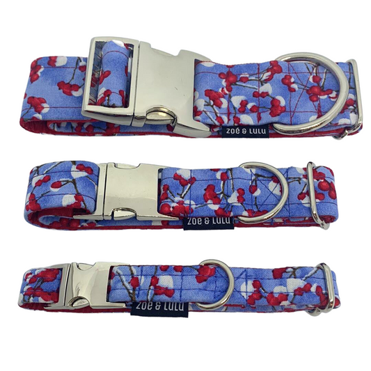 Blue background dog collar, PremiereNeige metal clip, made in Quebec