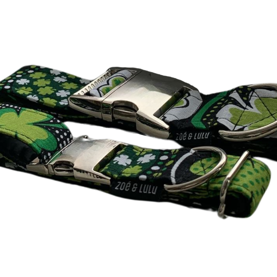 Collier pour chien st partrick irish trèfle clip.en metal fais au Québec/ 
St. Patrick's Irish clover dog collar with metal clip. Made in Quebec.
