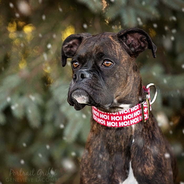 Ho Ho Ho Dog Collar