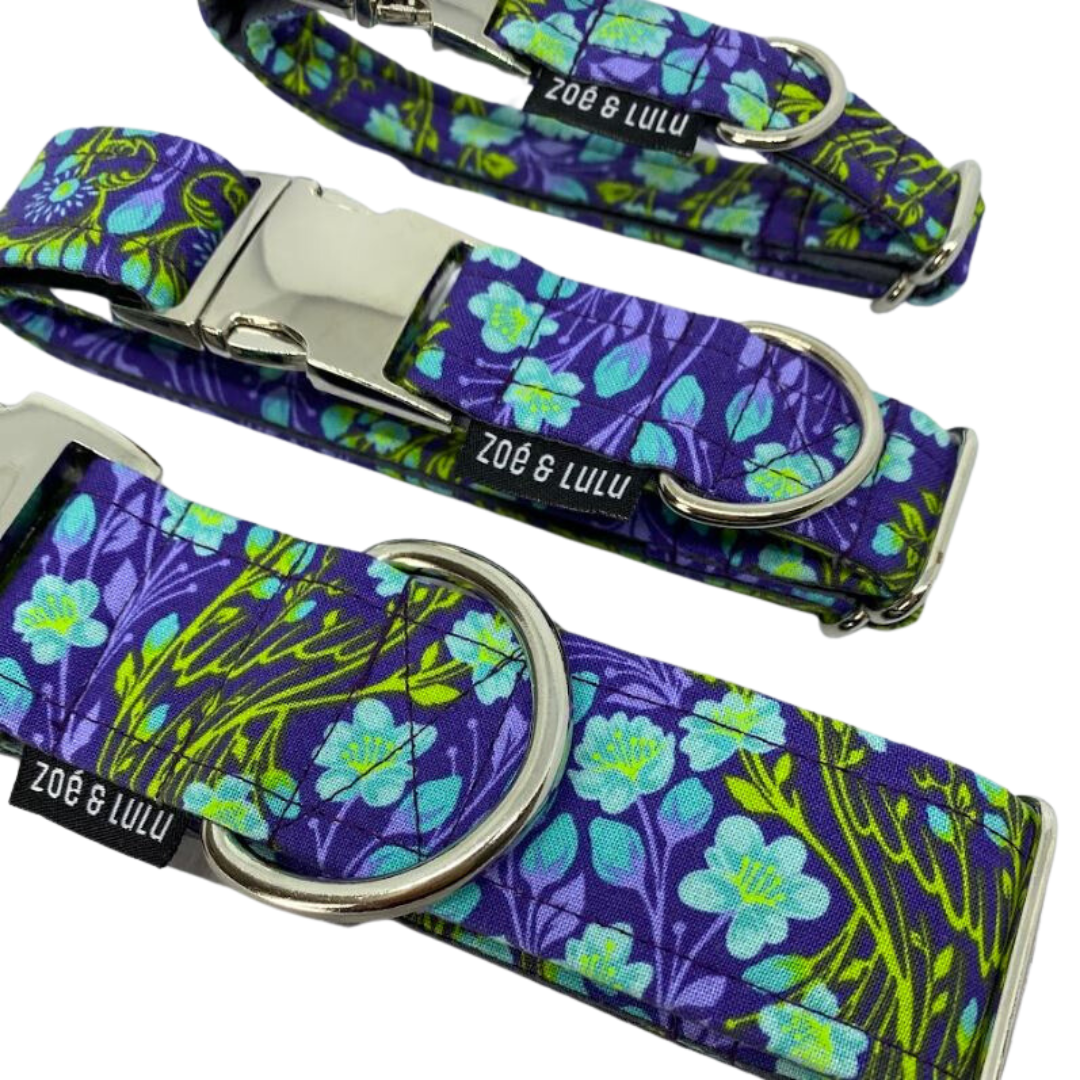 Honolulu Dog Collar