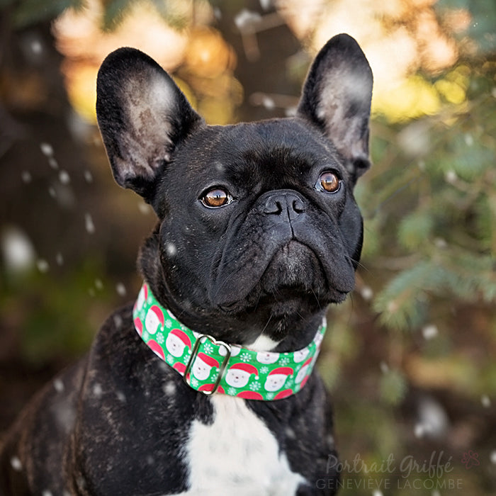 Santa Dog Collar