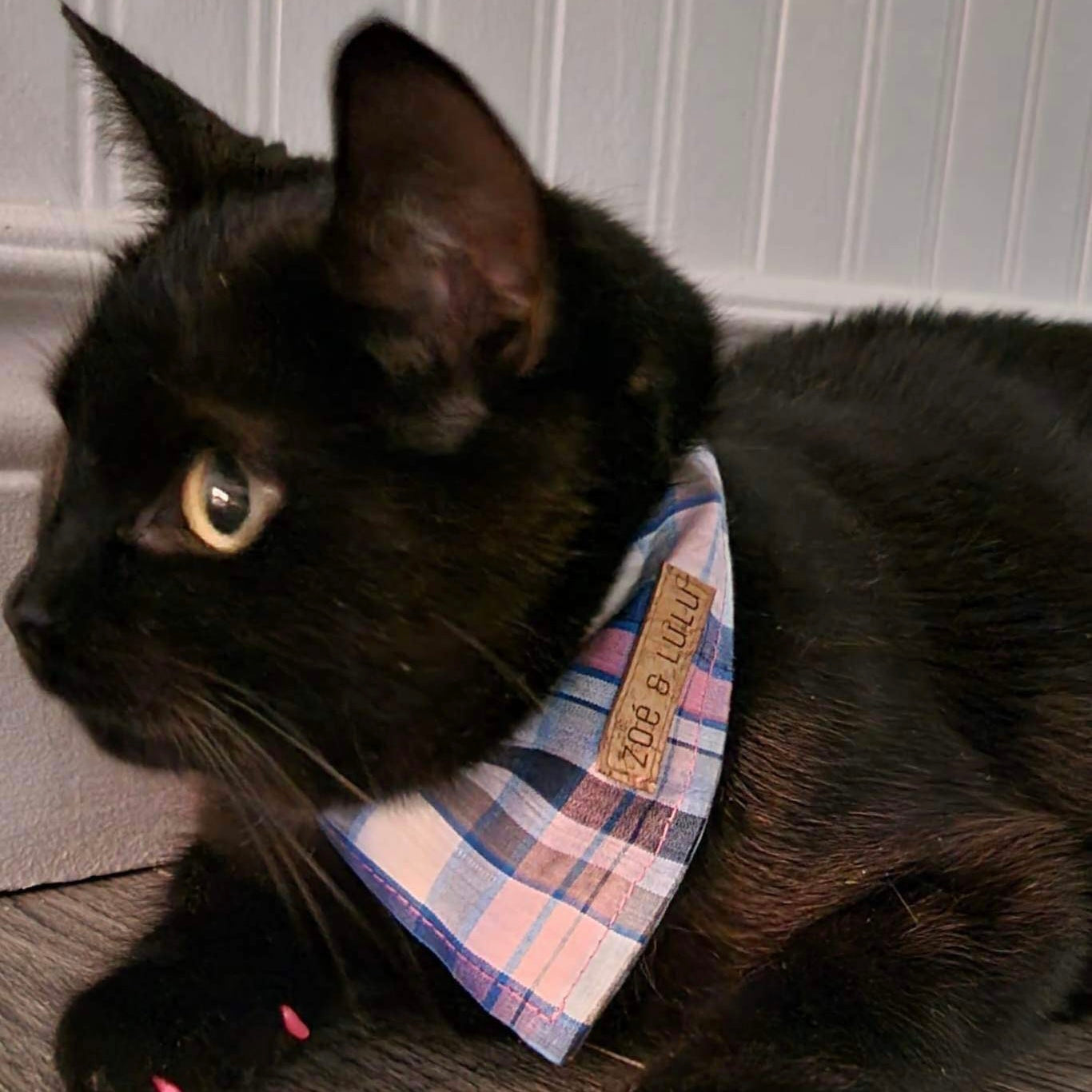 Bombay Tartan Bandana